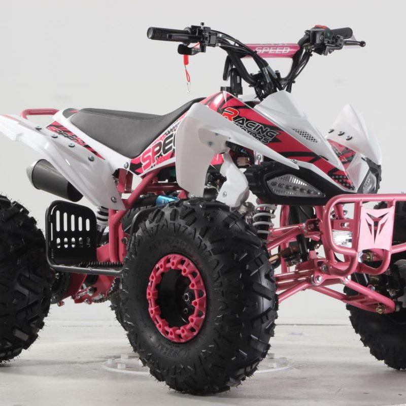 Quad Pantera 125cc 8 Pulgadas n2