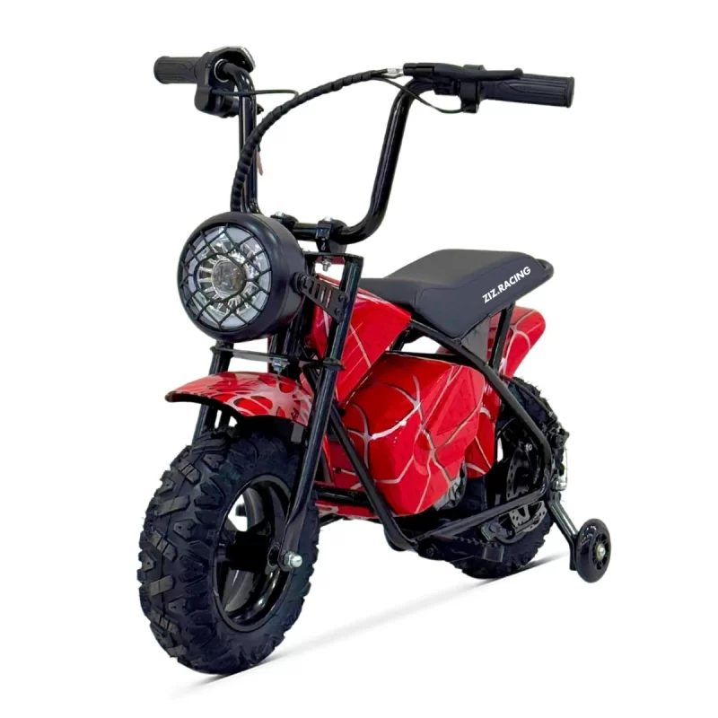 MINI_SCOOTER_350W_36V_MULTICOLOR_RUBST_ZIZ.R_2925