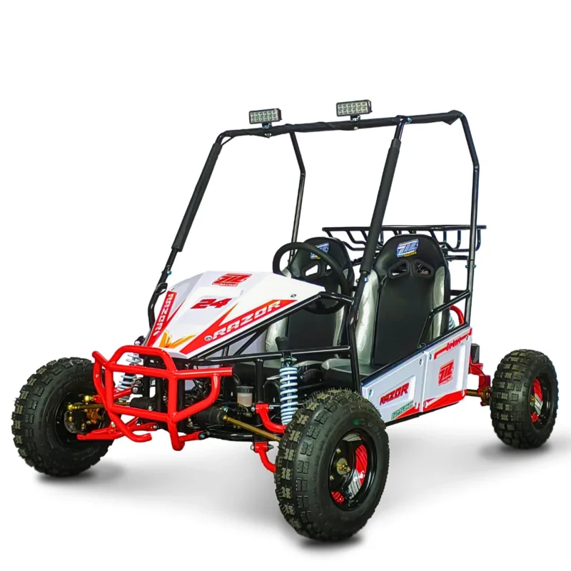BUGGYRAZOR125CC4TAUTOMATICOR84TZIZRACING_7